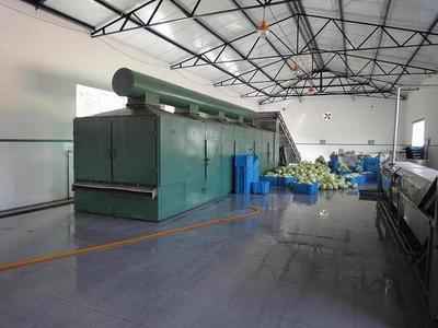專業高效的紅薯片干燥解決方案 脫水機在食品加工中的關鍵應用